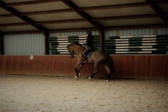 DSC02804 (1)