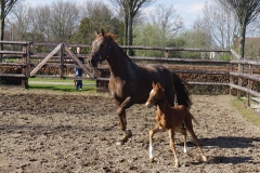 lois en ljucky